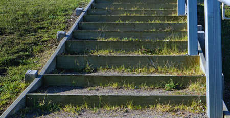 Abandoned stairs with wild grass growing on them