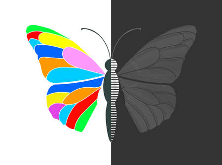 Two-way butterfly logo with guilloche wingのイラスト素材