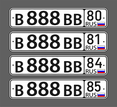 Vector new Russian beautiful state civil license plates of Donetsk, Lugansk, Kherson and Zaporozhye.のイラスト素材