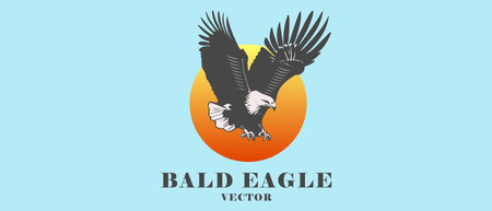Vector bald eagle with raised wings on the background of the sun. Logo, sticker or emblem. isolated background.のイラスト素材