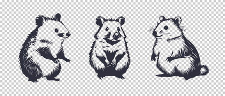 Vector set of cute graphic nice little mice or good quokies. Small rodents. isolated background.のイラスト素材