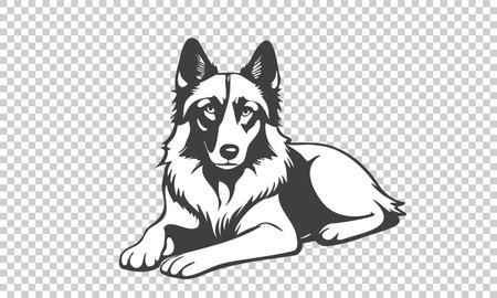 Vector simple black and white graphic cute lying shepherd dog breed. isolated background. sticker or icon.のイラスト素材