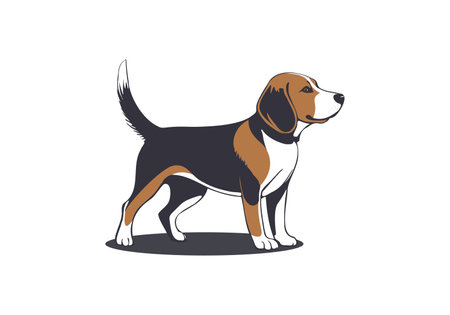 Vector standing cute beagle dog. friendly pet. English hunting doggy. White isolated background.のイラスト素材
