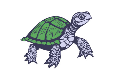 Vector cartoon graphic swimming turtle with a green shell on a white isolated background.のイラスト素材