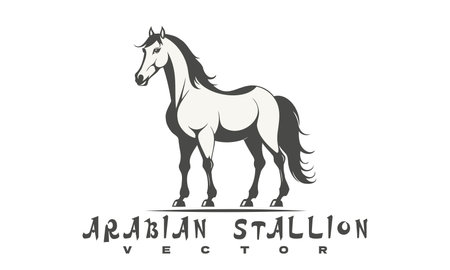 Vector monochrome graphic graceful chic fast Arabian stallion. or emblem. White isolated background.のイラスト素材
