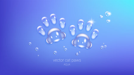 Vector water prints of cat paws. Drops of clear liquid. Blue cyan background. Zoo banner.のイラスト素材
