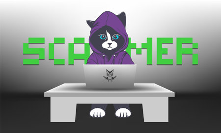 Vector black and white cat wearing a purple hoodie. 3D table and mobile computer. Scammer and bandit.のイラスト素材