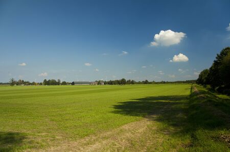 green field with blue sky and a vilage on the backgroundの写真素材