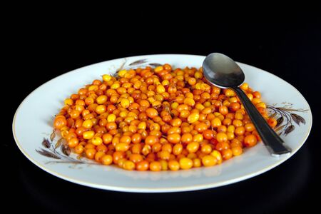 Buck-thorn berries isolated on a plate with a small soonの写真素材