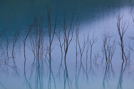 blue water with trees reflection in it on a rainny dayの写真素材