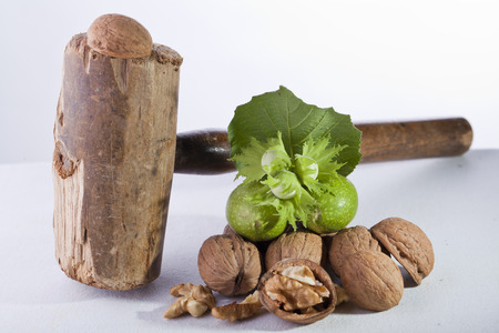 walnuts cracked on white isolated background with wood hammerの写真素材