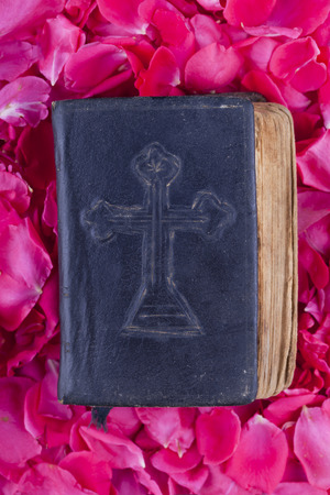 old vintage bible on a bed of rose petals isolated on black background