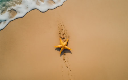 Starfish on the beach with wave and sand background. Top viewの素材
