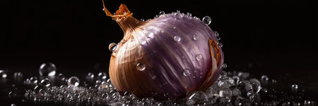 onion with water drops on black background, panoramic shotの素材