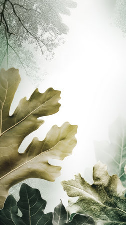 autumn background with oak leaves and copy space for text or imageの素材