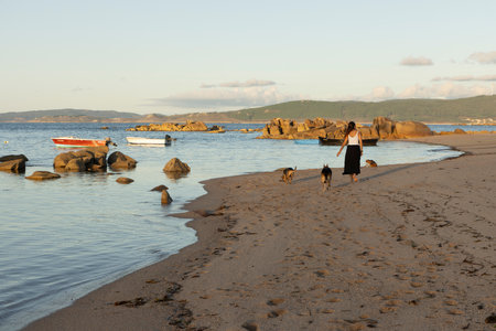 Young Galician woman walking dogs on beach at sunset near boats next to the seaの写真素材