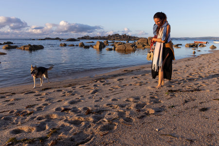 Dog and woman walking on the beach sand at orange sunset next to blue oceanの写真素材