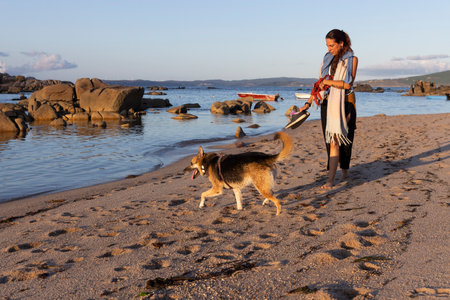 Dog and woman walking on the beach sand at orange sunset next to blue oceanの写真素材