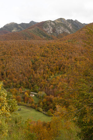 Autumn landscape with bright leaves and frozen peaks in Las Ubinas La Mesa National Park. Spanish nature panoramic view of Asturias forest in late autumn.の写真素材