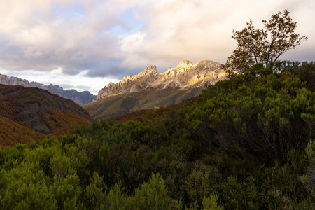 Panoramic landscape of Picos de Europa national park in Autumn with brigh colorful leaves in fall and rocky peakの写真素材