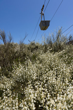 Coal mining cart on rope way cable way abandoned industrial equipment in the mountains on a clear sunny day with blue sky and spring flower meadow.の写真素材