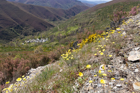 Beautiful mountain village in Asturias Spain on a bright sunny spring day with flowers meadow.の写真素材