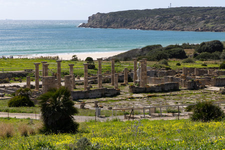Roman archeological site with forum and stone architecture ruins in Baelo Claudia on the Spanish coast with ocean view on coasta de la luz on a bright sunny day with blue sky.の写真素材