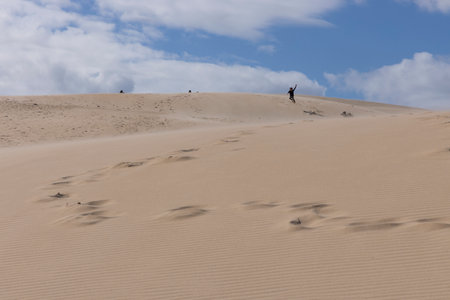 People walking up sand dunes on a bright sunny day in the desert with blue sky.の写真素材