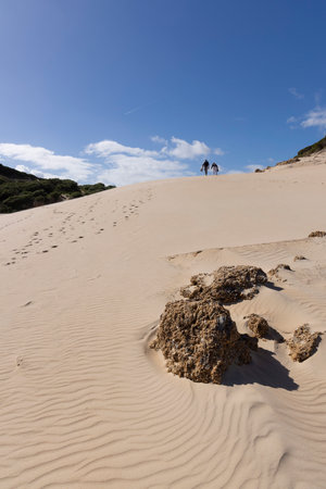 People trekking on foot walking up sand dune on a bright sunny day with blue sky at Punta Paloma in the south of Spain.の写真素材