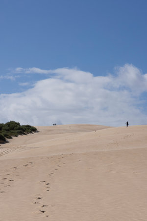 People trekking on foot walking up sand dune on a bright sunny day with blue sky at Punta Paloma in the south of Spain.の写真素材