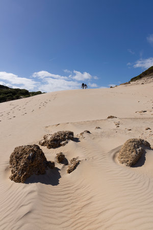 Vertical landscape of people walking up sand dunes in the desert on a bright sunny day with blue sky.の写真素材