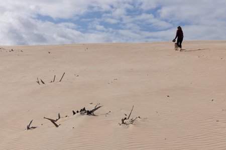 Person walking with dog on a bright sunny day on sand dunes with bright blue sky background.の写真素材