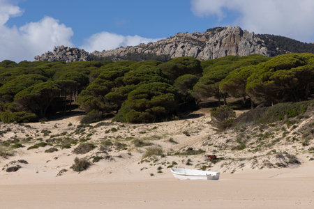 Old fishing boat stranded on the beach on a bright sunny day with blue sky and clouds.の写真素材