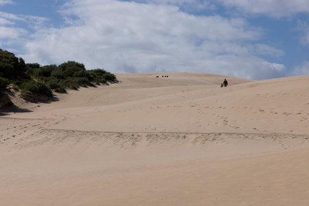 People trekking on foot walking up sand dune on a bright sunny day with blue sky at Punta Paloma in the south of Spain.の写真素材