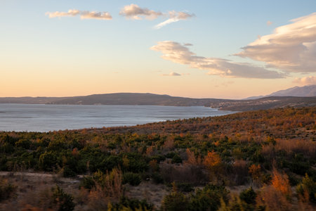 A tranquil panoramic view showcasing a calm body of water bordered by lush green forests, with soft clouds accentuating the peaceful ambiance of the evening sky.の写真素材