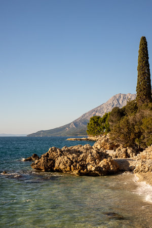 A stunning coastal view showcasing a rocky shoreline adorned by greenery, mountains in the background, and a clear blue sky, perfect for tranquility and nature lovers.の写真素材