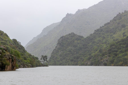 A mist-shrouded river flows between rugged green cliffs, creating a peaceful and contemplative scene steeped in nature's majesty.の写真素材