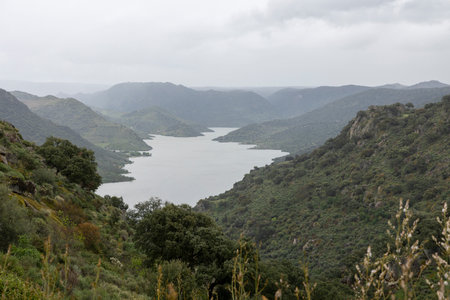 A serene lush landscape featuring a meandering river flowing softly amidst green hills under a soft, overcast sky.の写真素材