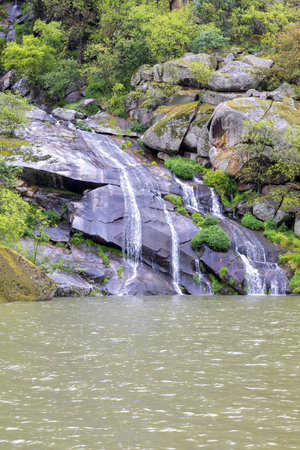 A gentle waterfall trickles over smooth rocks with vibrant green vegetation, creating a peaceful and inviting natural scene.の写真素材