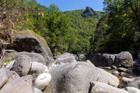 The image showcases a high-angle, long shot of a rocky riverbed nestled within a mountainous valley.  The foreground is dominated by a collection of various-sized, grey and light-colored, rounded boulders and rocks, partially submerged in shallow water.  The mid-ground reveals the continuation of the riverbed, leading towards a densely vegetated area.  The background features lush green hillsides and mountains under bright, natural daylight conditions.  Shadows are cast by the rocks and trees, creating depth and texture.  The overall color palette is natural, consisting of greens, greys, and browns.  The image exhibits a high degree of sharpness and detail, suggesting a high-resolution capture.の写真素材