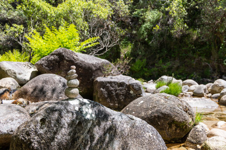 The image presents a landscape-oriented close-up shot of a cluster of dark gray and black boulders, varying in size and shape, positioned in the foreground. A notable rock formation in the center exhibits a natural arch. The rocks exhibit various textures, from smooth to rough surfaces. The background consists of dense, verdant foliage, predominantly featuring ferns with bright yellow-green hues, suggesting a humid climate. The lighting indicates an outdoor setting, with natural light casting subtle shadows and highlighting the textures of the rocks and plants. The overall color palette is dominated by dark grays and greens, creating a naturalistic and somewhat muted tone. The depth of field is shallow, with the focus primarily on the rocks in the foreground, while the background is softly blurred.の写真素材