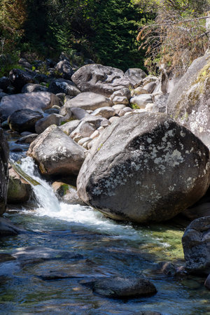 High-angle close-up shot depicting a collection of various sized grey and dark grey river rocks and boulders.  A small stream of water flows around and between the rocks, exhibiting a shallow depth of field. The rocks display a range of textures, from smooth to rough, with some showing subtle patterns or discoloration. The water is relatively clear, with a visible flow. The image features natural lighting with variations in light and shadow across the rock surfaces, enhancing textural details. The overall color palette is muted, primarily consisting of greys and whites.の写真素材