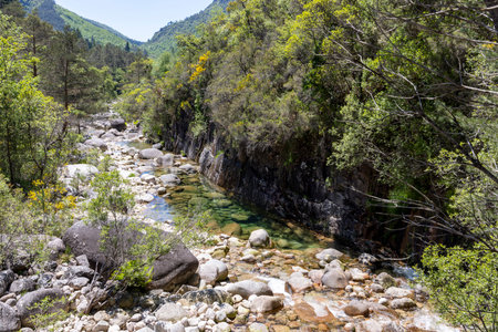 The image presents a high-angle, long shot of a mountain stream. The stream is characterized by a...