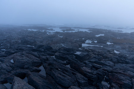 The image shows a wide shot of a rocky landscape shrouded in fog or mist. The overall color palette is muted blues and greys. The foreground is dominated by dark, rough-textured rocks.の写真素材