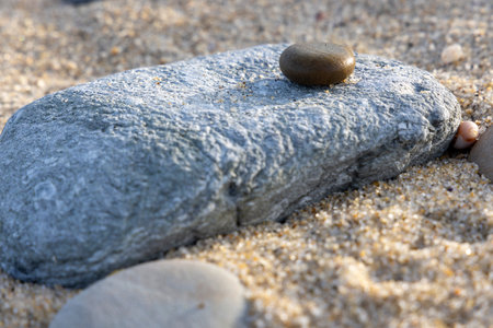 Close-up view of a large, oblong grey stone resting on a sandy beach. The stone's surface displays a textured pattern.の写真素材
