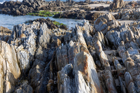 Close-up shot of a dense cluster of grey and light-grey coastal rocks.  The rocks exhibit various shapes and sizes, showing signs of weathering and erosion.  The texture is rough and uneven.の写真素材
