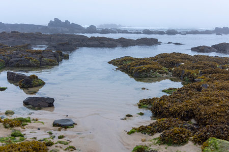 The image shows a tranquil coastal scene dominated by a series of rock pools at low tide.  The water...