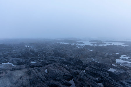 High-angle, long shot of a rocky coastline shrouded in a thick mist or fog. The color palette is...