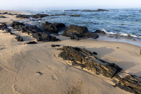High-angle, close-up view of a beach shoreline. The foreground consists of light-colored sand with...