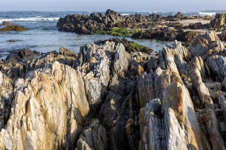 Close-up view of a rocky shoreline at low tide.  The image shows various sizes and colors of rocks, predominantly browns, grays, and tans, with some patches of green algae visible.の写真素材